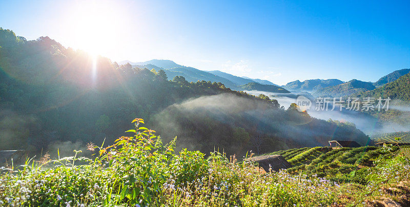 在Doi angkhang清迈自然景观风景秀丽的日出在泰国北部